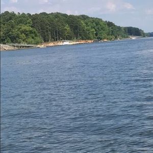 Meet your Posher, Bailey